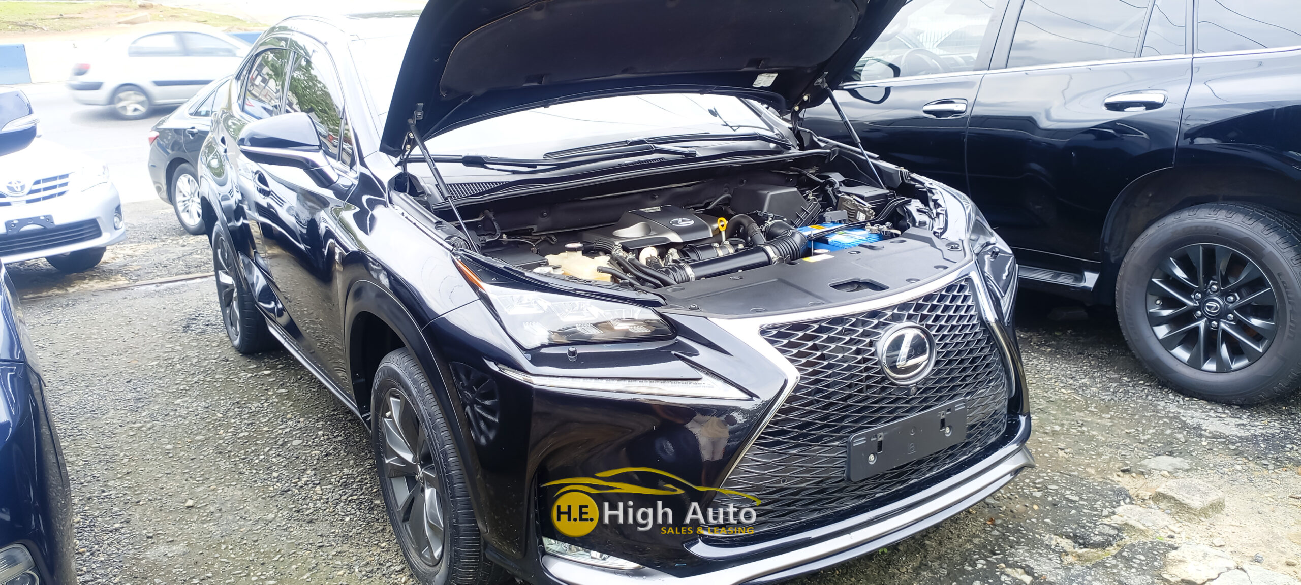 
								LEXUS NX 200t full									