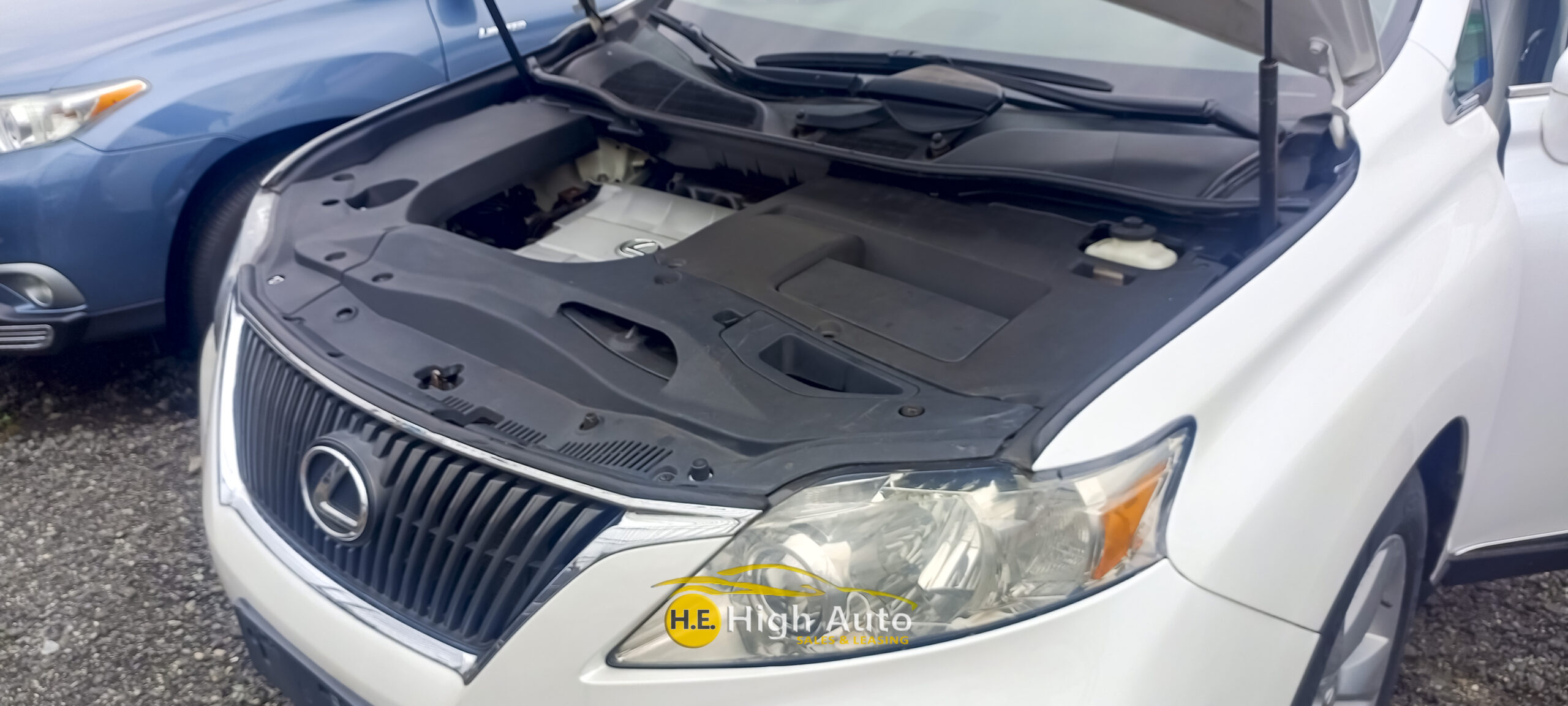 
								LEXUS RX350 full									